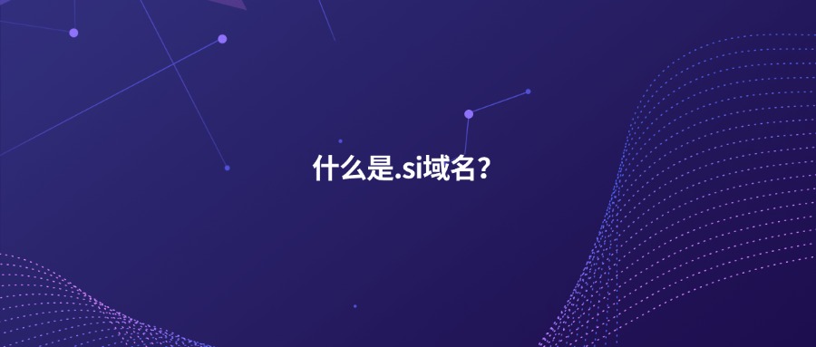 什么是.si域名？