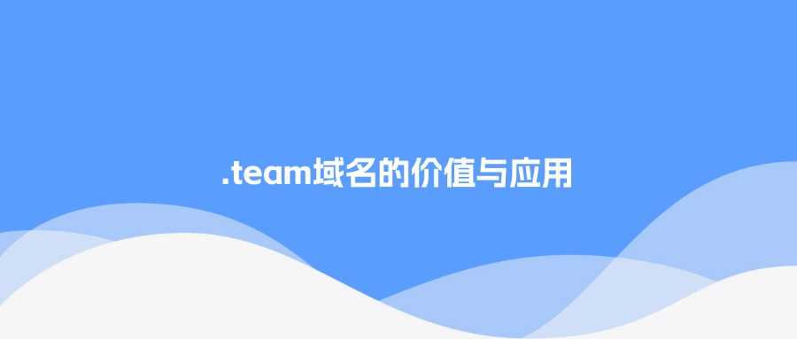 .team域名的价值和应用